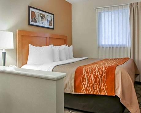 King Suite - Ground Floor