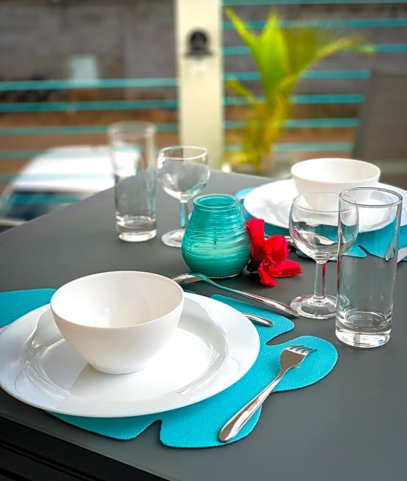 Abiki Mauritius with Tourism Authority Permit