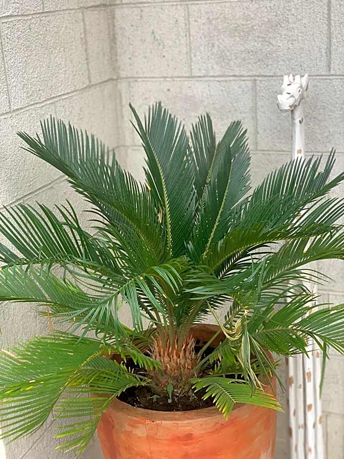 Hotel Motel Residence S