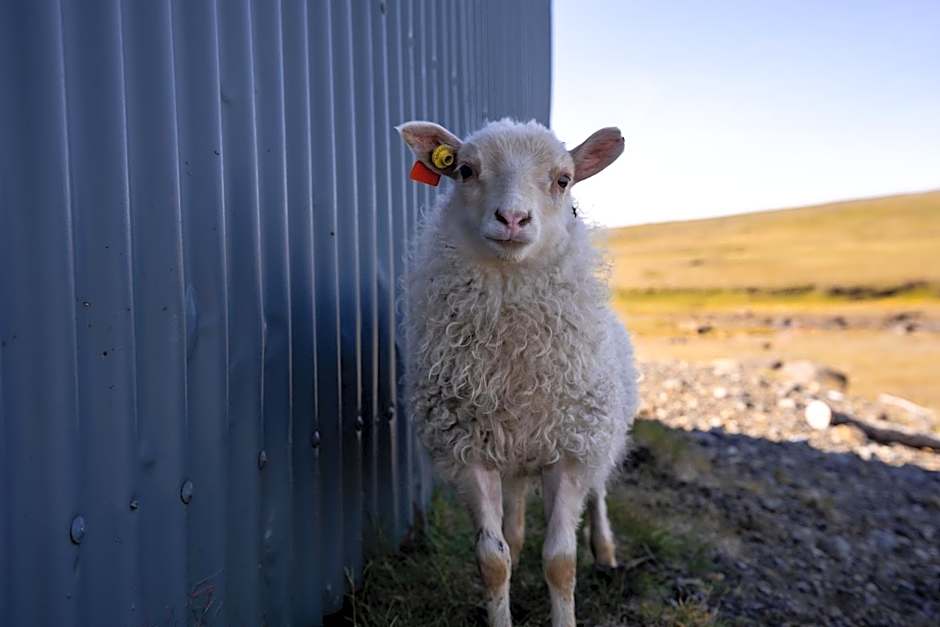 Laugarfell Accommodation & Hot Springs