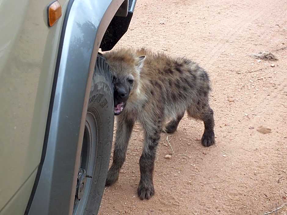 Rhino Post Safari Lodge