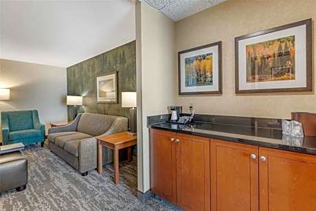 King Suite with Sofa Bed - Accessible, Tub