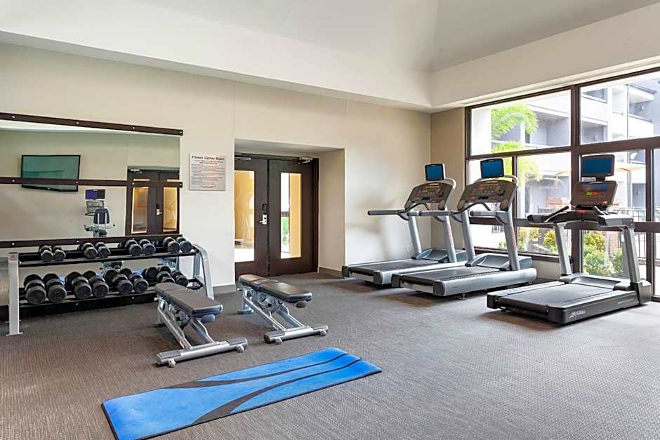 Courtyard by Marriott St. Petersburg Clearwater