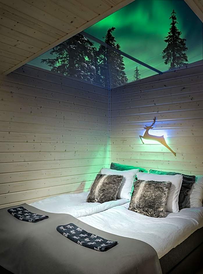 Skyfire Village Igloos