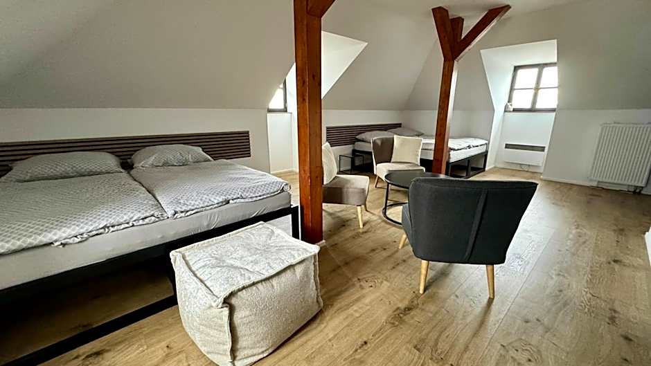 Family Apartments Černice