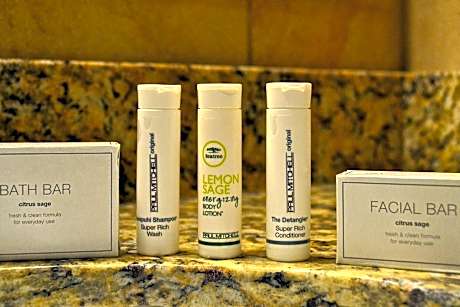 King Studio with Sofa Bed