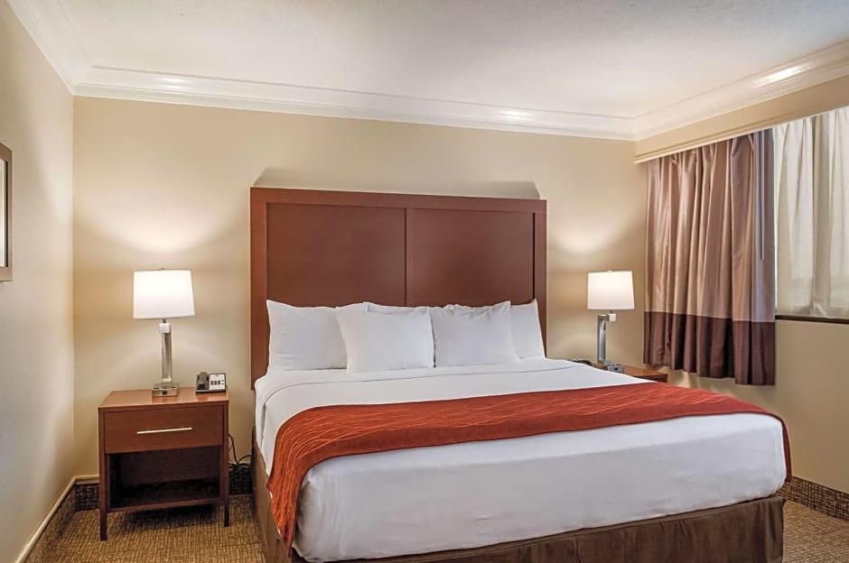 Comfort Inn & Suites At Copeland Tower
