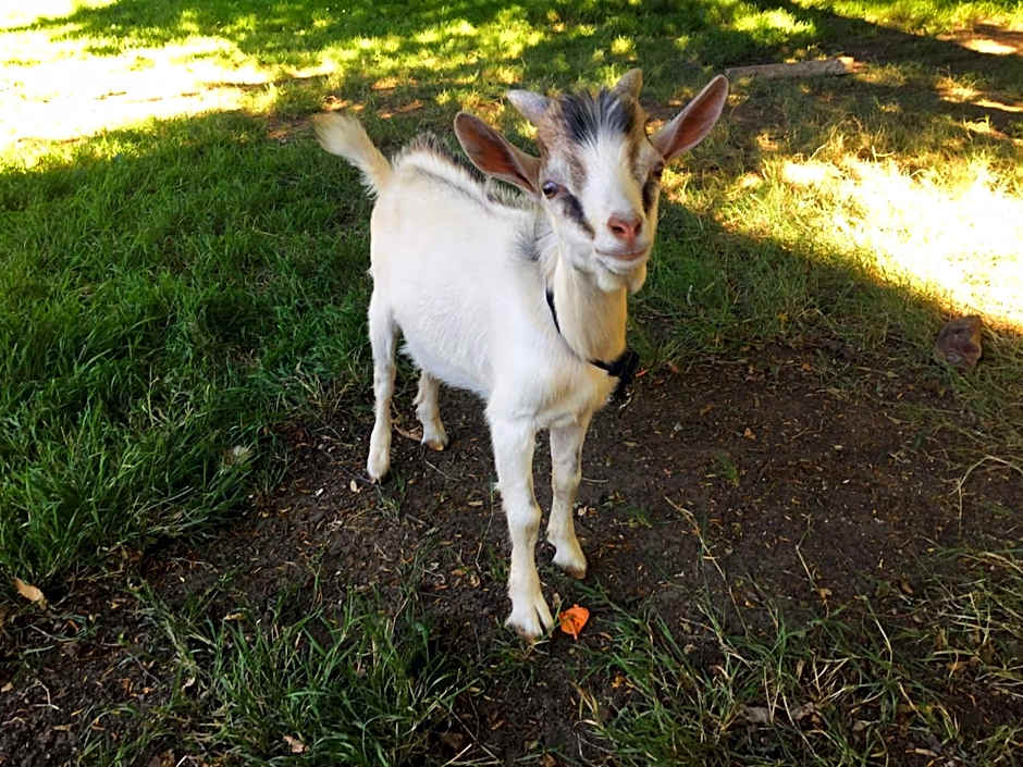 Hôtel des 4 continents - Le Mans