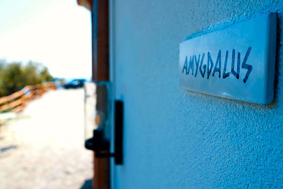 Country House “ Il Mandorlo”