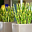 Median Hotel Hannover Messe