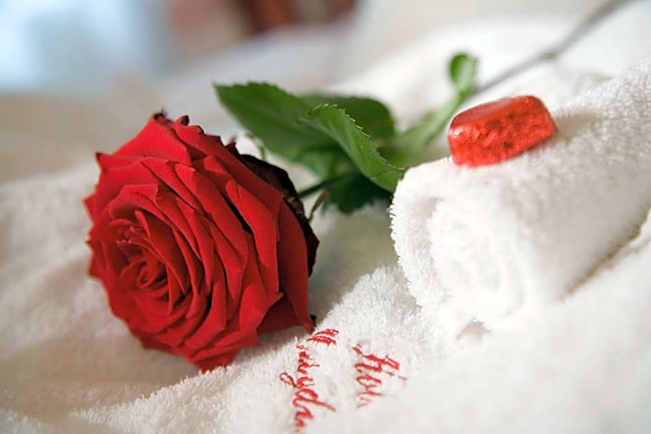 Hotel Magdalena Mayrhofen