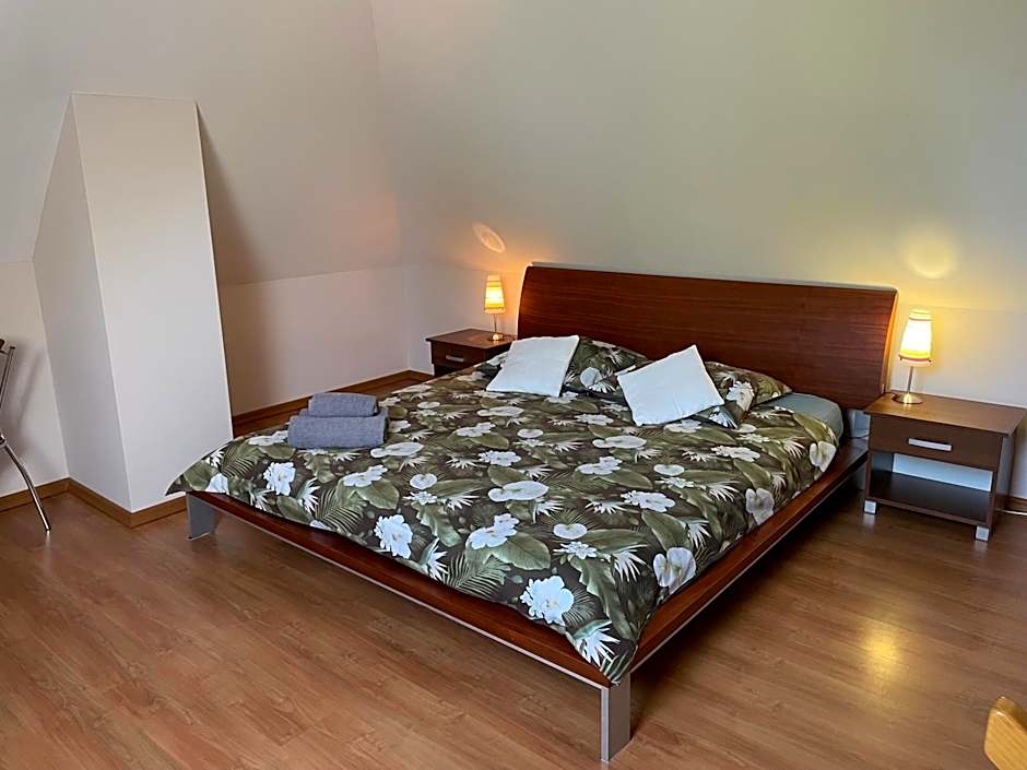 Willa Kosówka - Frydman