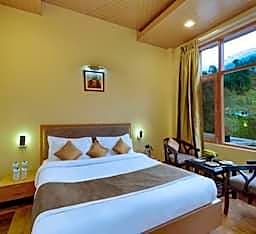 Bravia Hotel Manali Inn