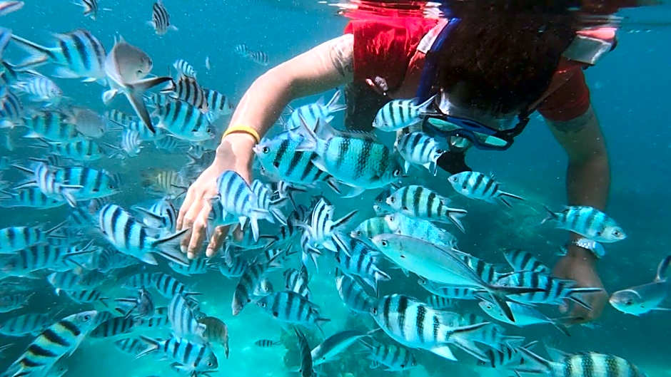 Baan Chan Lay Koh Chang