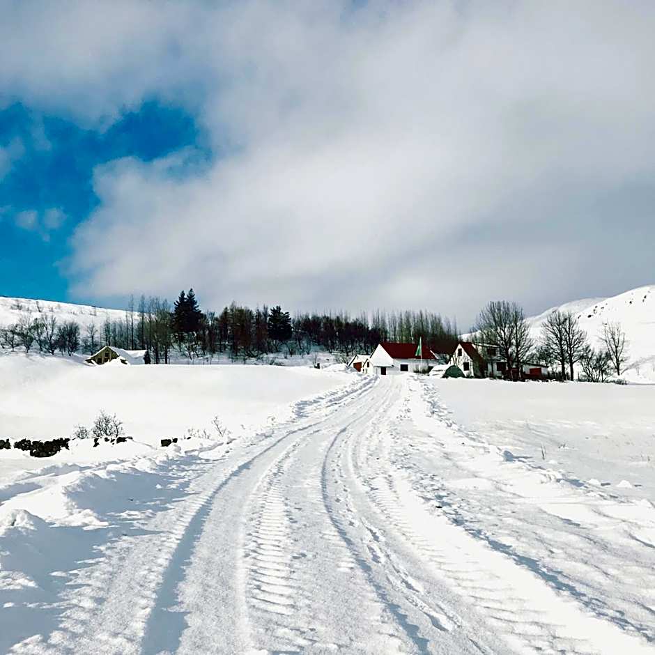 Dalshöfdi Guesthouse