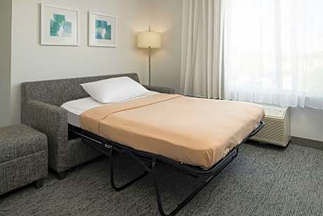 King Suite with Sofa Bed