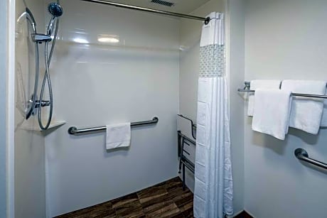 1 King Accessible Roll In Shower Non-Smoking