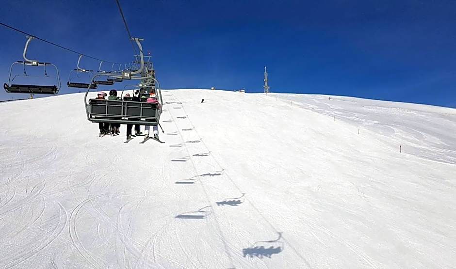 Hotel Auwirt Zentrum