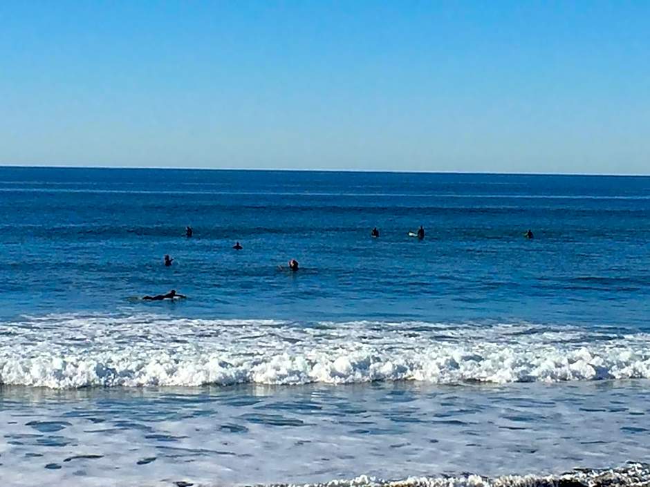 The Sandcastle Beachfront Hotel