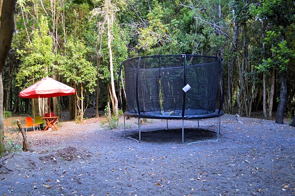 Cabañas Ensenada Bosque Nativo