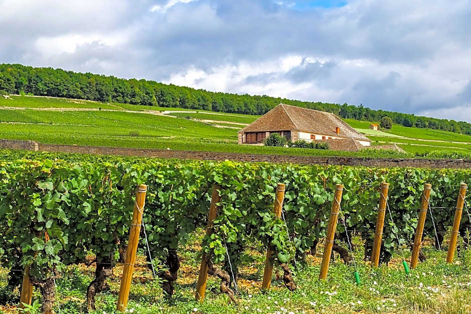 Voco Beaune – Cité Des Vins