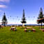 Esperance Travellers Inn