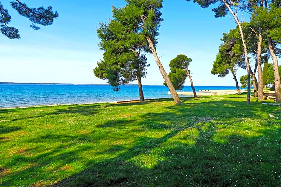 Mobile Homes Camp Pineta - Adriatic Kampovi