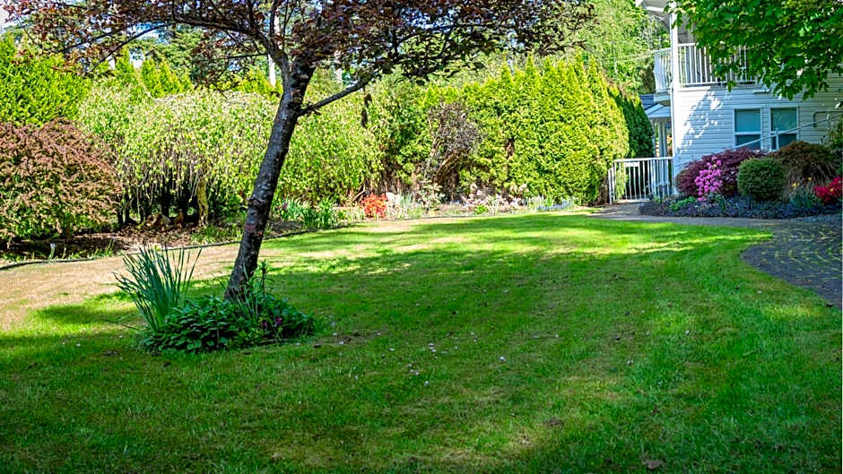 Kye Bay BnB - A Place to Breathe