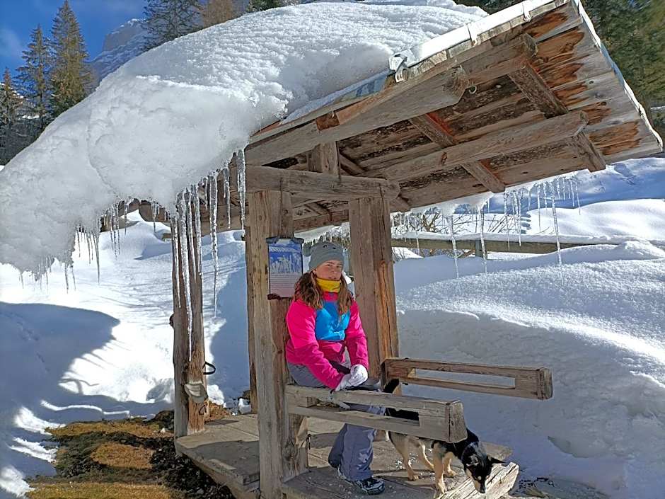 Hotel B&B Lorenzini Ski