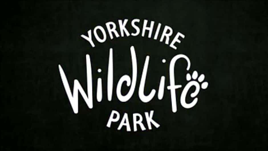 Hex Wildlife Hotel at Yorkshire Wildlife Park
