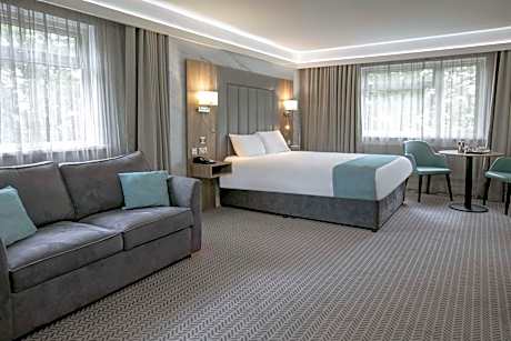 Junior Queen Suite