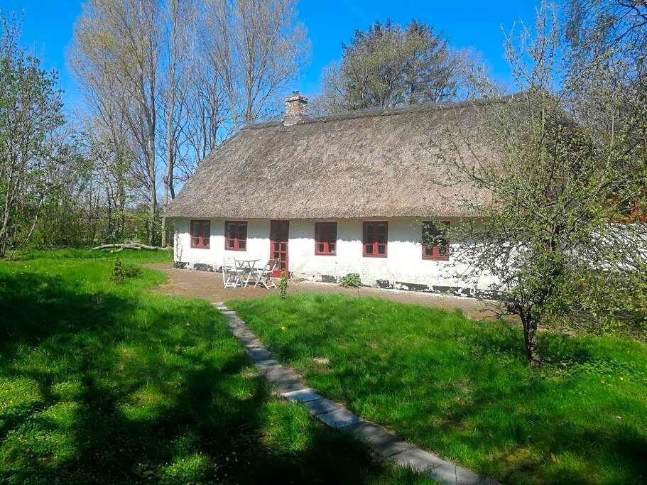 Gemütliches Reetdachhaus mit Kaminofen