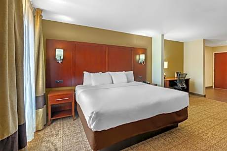 1 King Bed, Suite, Nonsmoking, Accessible