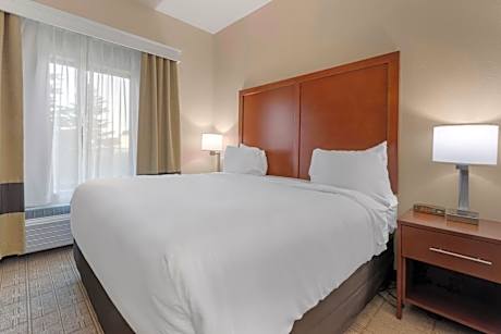 King Suite with Accessible Tub and Sofa Bed - Accessible/Non Smoking