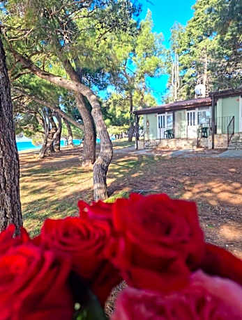 Family Bungalow Pineta