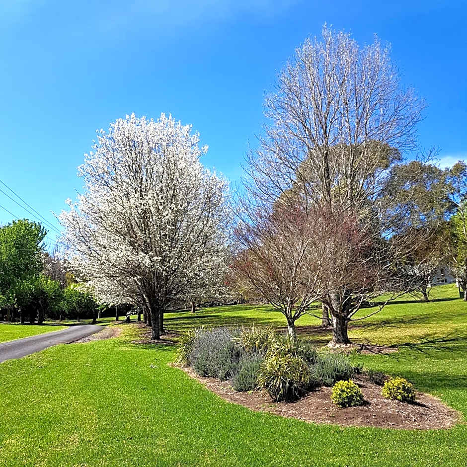 The Drawing Rooms of Berry