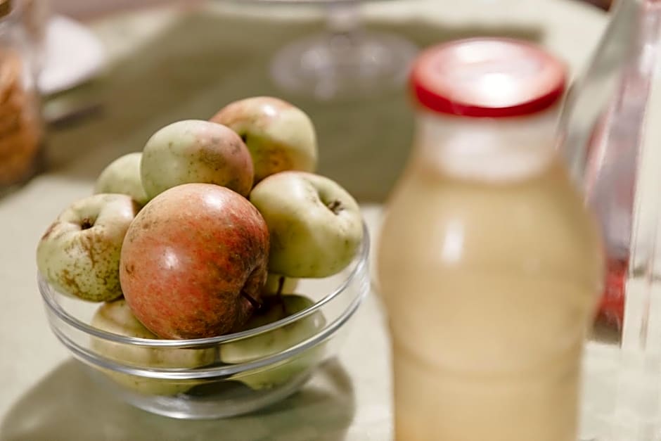 B&B AL VECCHIO CARPINO