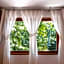 Big Tree Boutique Hotel