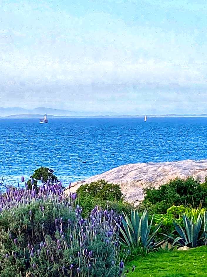 Bosky Dell on Boulders Beach