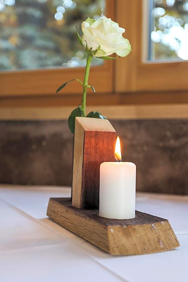 Hotel Gasthof Höllriegl