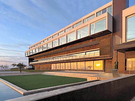 Hotel & Spa Alfandega da Fe