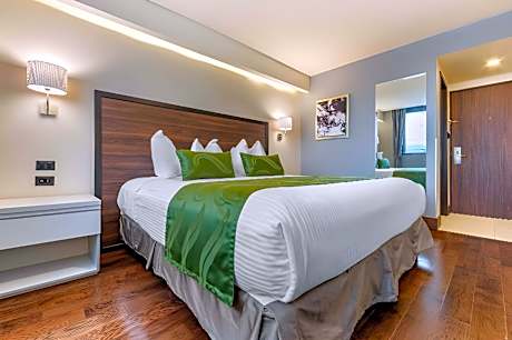 1 King Bed Nonsmoking