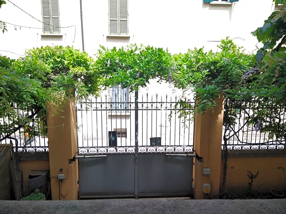Tilia