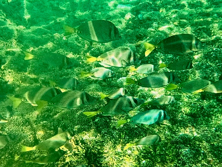 Agua Azul la Villa