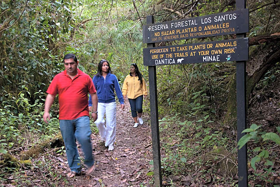 Dantica Cloud Forest Lodge