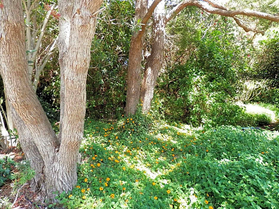 The Hideaway Luxury B&B Retreat