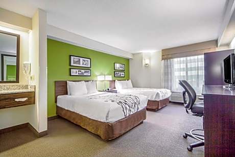 Double Room with Two Double Beds