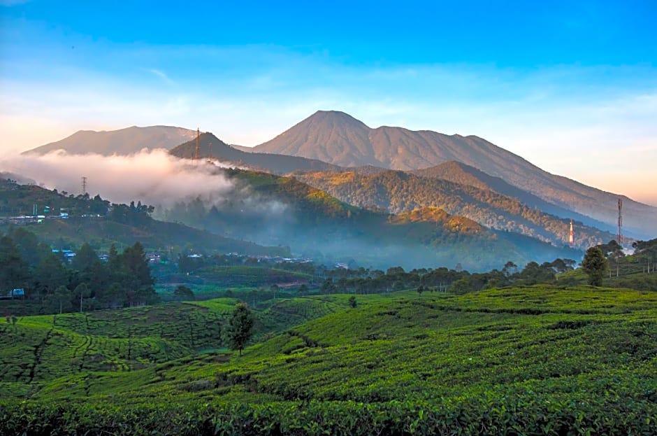 Green Wattana Hotel Sentul