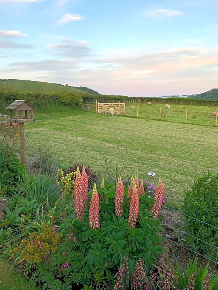 Westerley Country B & B with exclusive Guest lounge