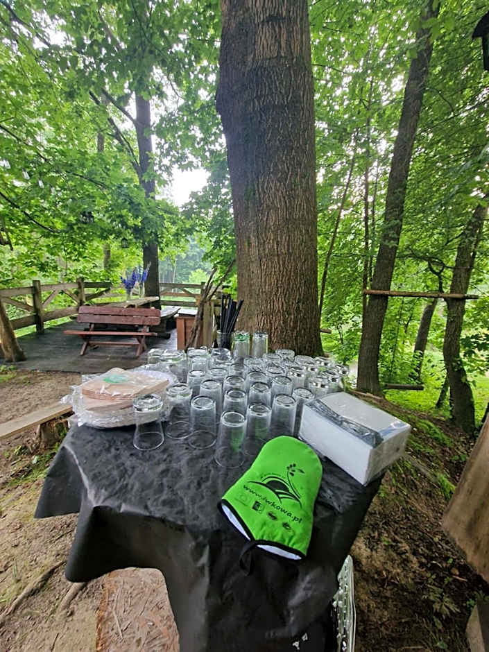 Gospodarstwo Agroturystyczne Borówkowy Bukiet Smaków